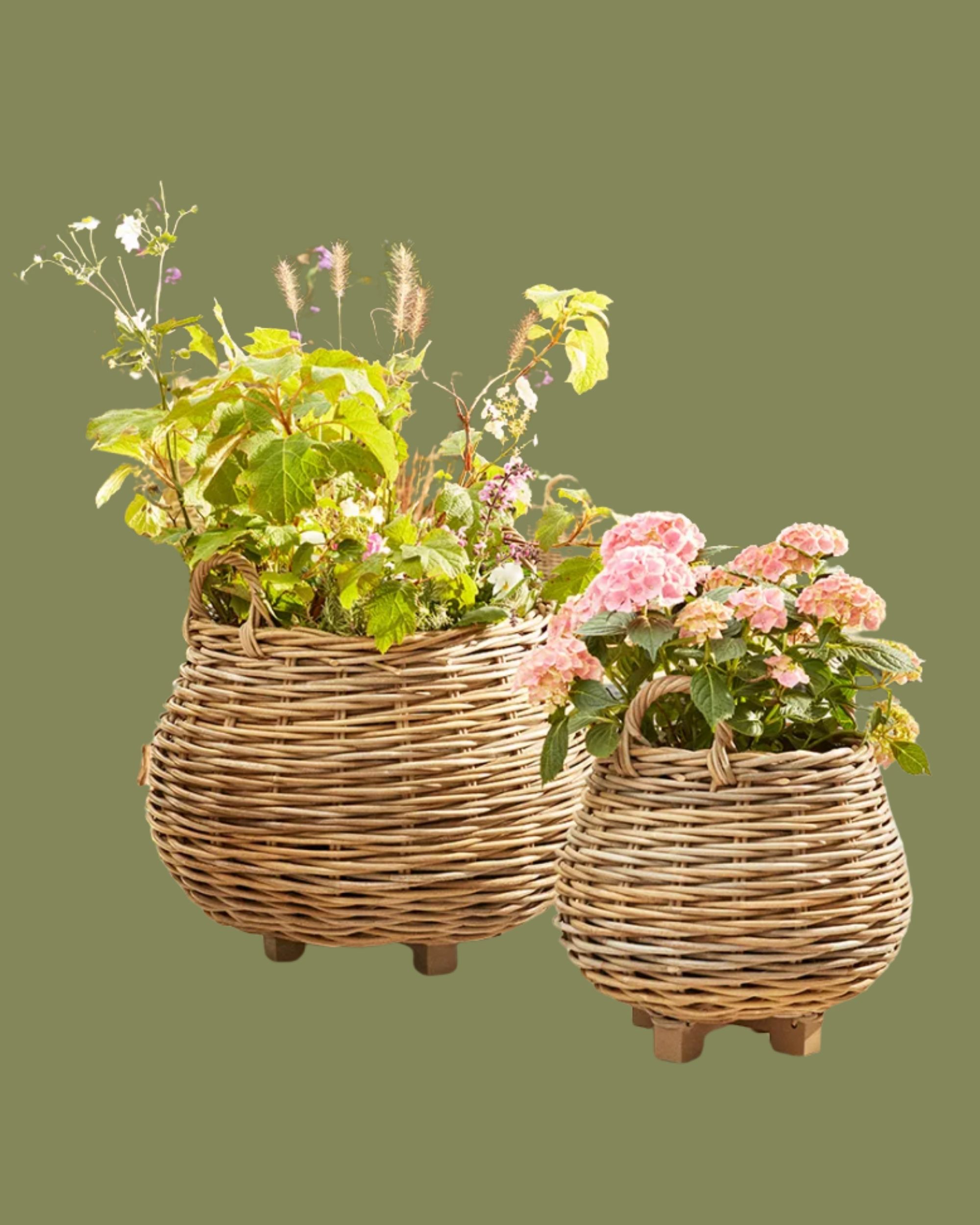 Cox &amp; Cox, Two Indoor Outdoor Tapered Rattan Planters