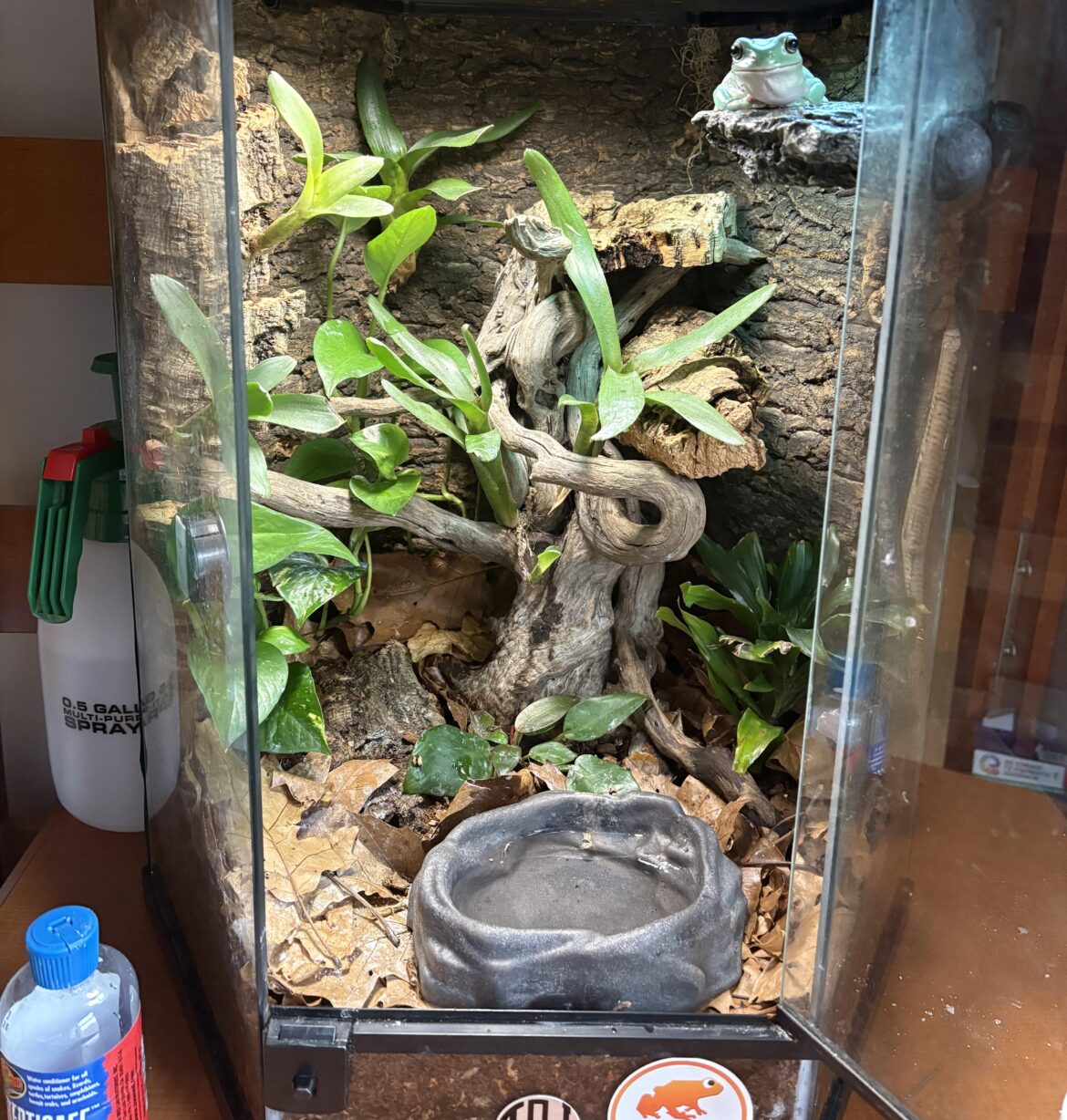 UPDATE: I added 2 more ledges in the back. Is a total of 3 ledges ok?