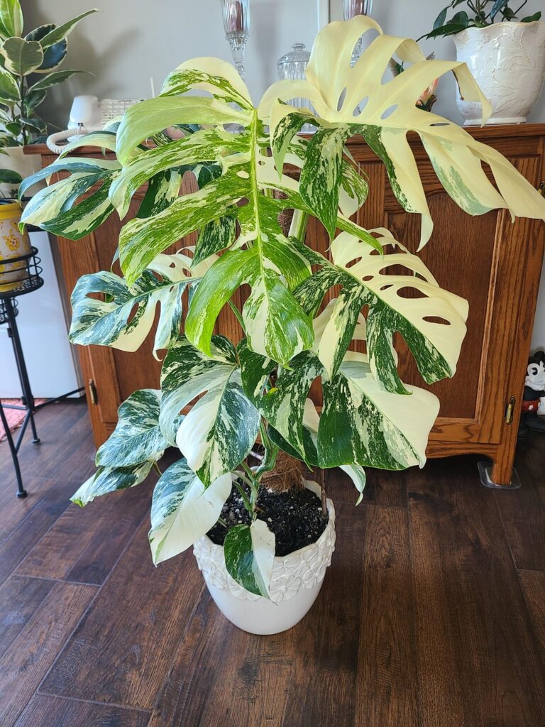 She's a beauty!