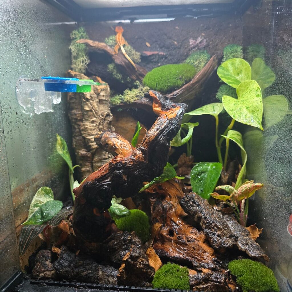 How'd I do?