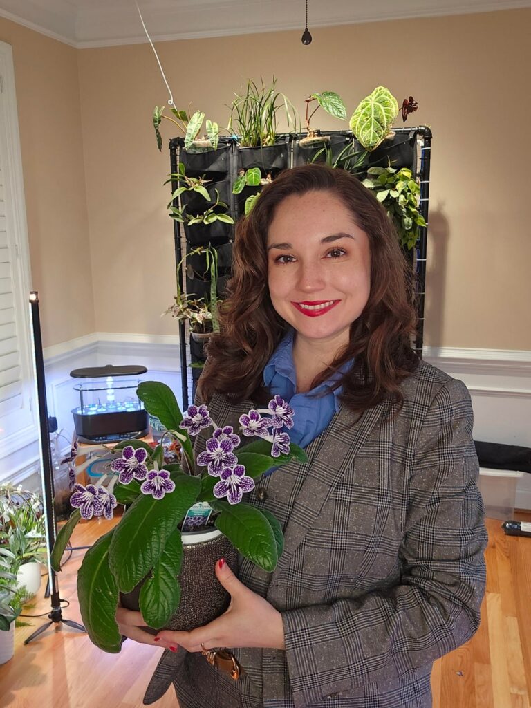 Streptocarpus and 1 AV blooms