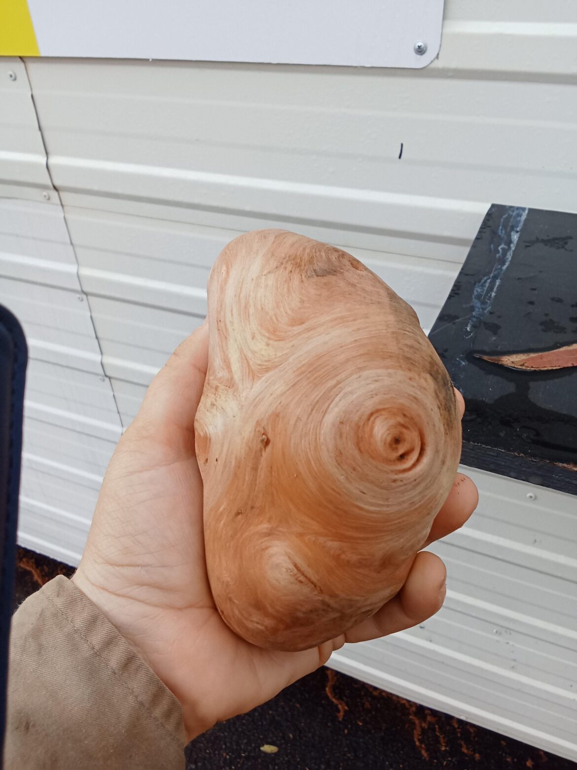 Indooroopilly, Brisbane, Australia – What the heck is it? Indooroopilly, Brisbane, Australia - What the heck is it?