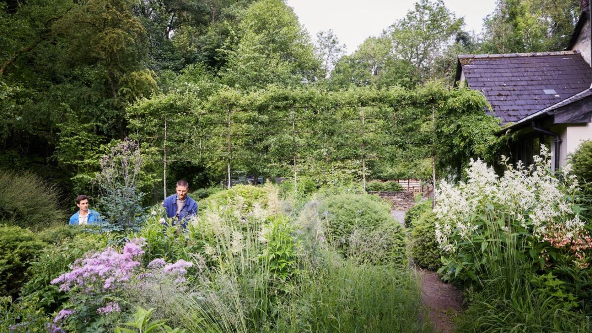 Harry and David Rich Bring Their Harmonious Gardening Philosophy to Life