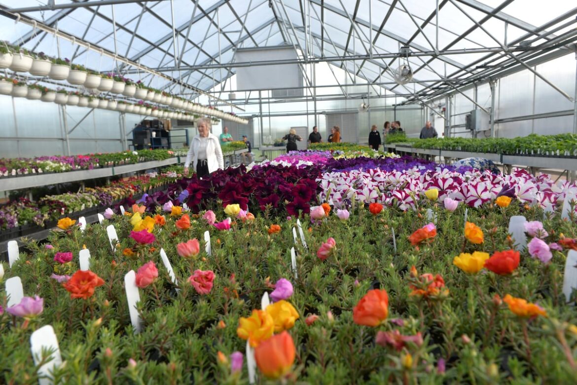 Polo Woman’s Garden Club plant sale is May 2 – Shaw Local