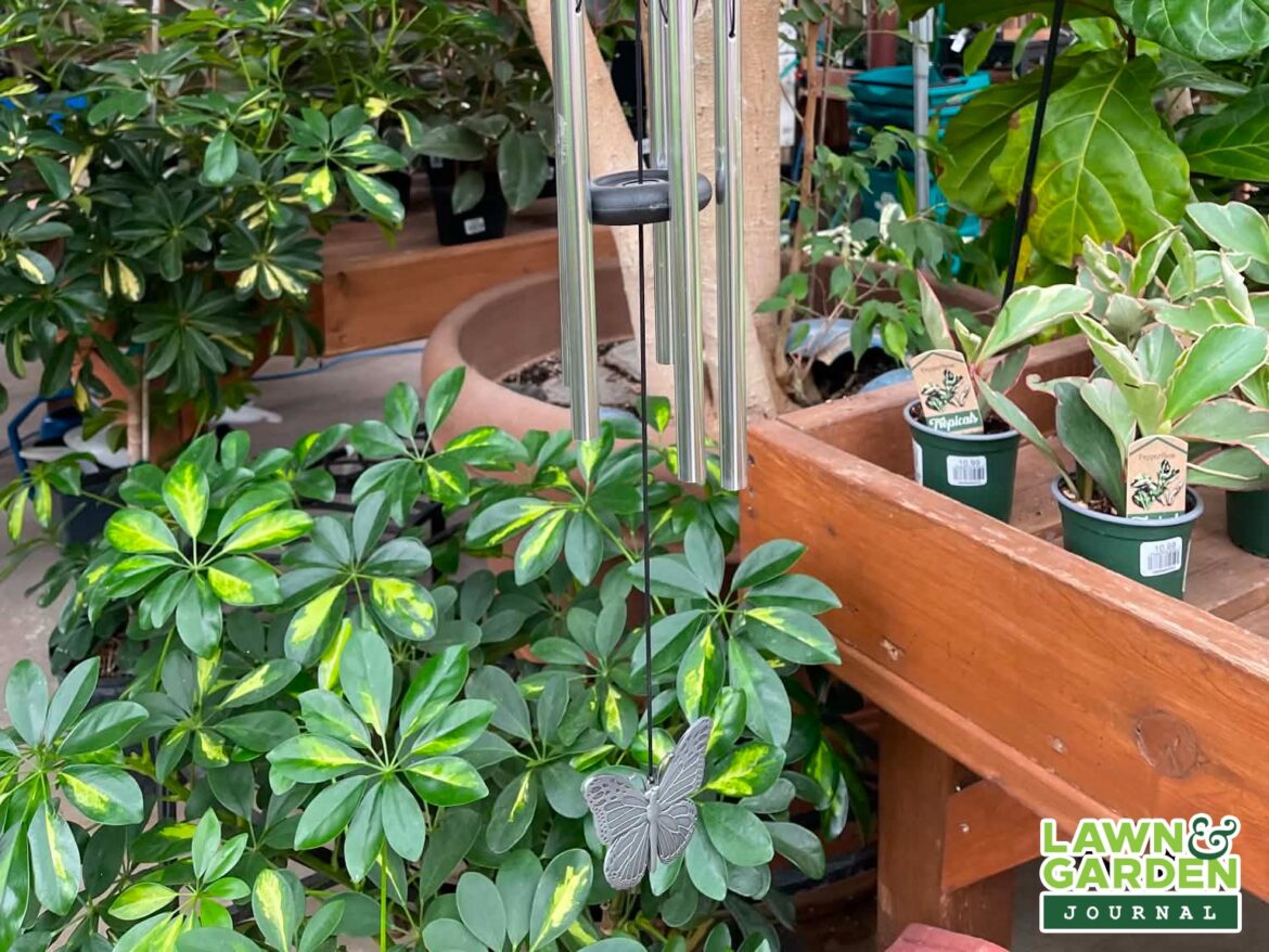 Carla Hrycyna & Chris Sumner dove into the mailbag on the Email Edition of The Lawn and Garden Journal - PortageOnline.com
