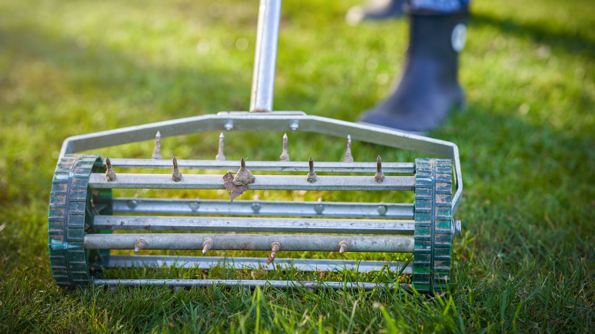 picture of grass aerator on green lawn