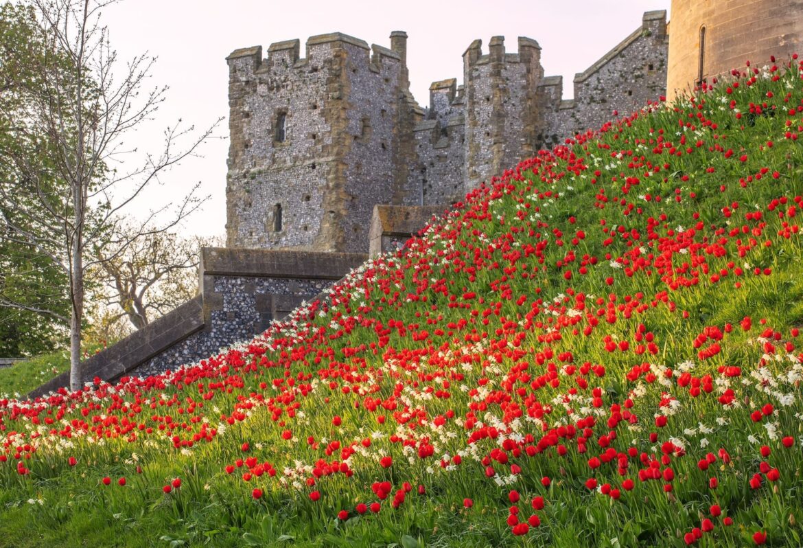 Arundel Castle Head Gardener to retire after 17-Year transformation Arundel Castle Head Gardener to retire after 17-Year transformation