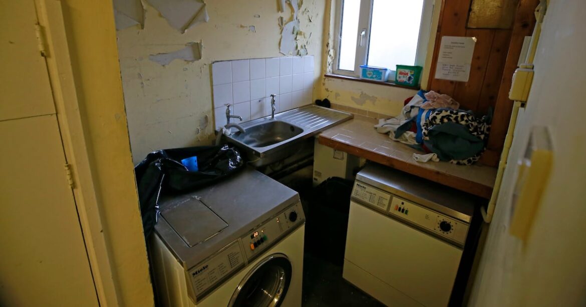 ‘Shedsit’ garden cabins could become a rental black market – The Irish Times ‘Shedsit’ garden cabins could become a rental black market – The Irish Times