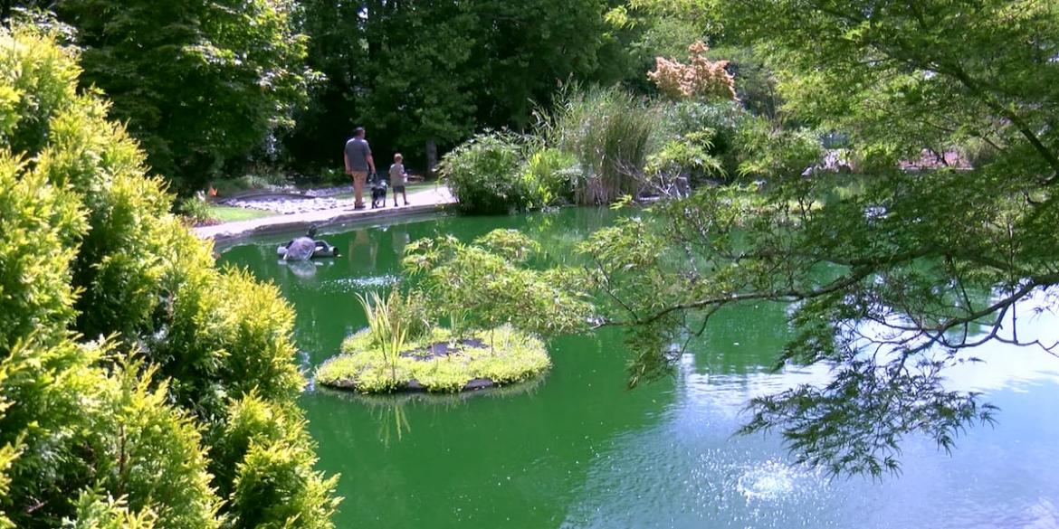 New Hanover Co. Arboretum hosting Master Gardeners plant sale next week
