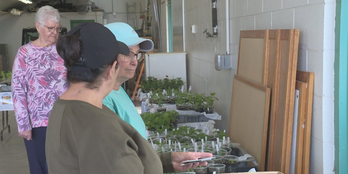 UNL Extension to host fourth annual Master Gardener Plant Sale UNL Extension to host fourth annual Master Gardener Plant Sale