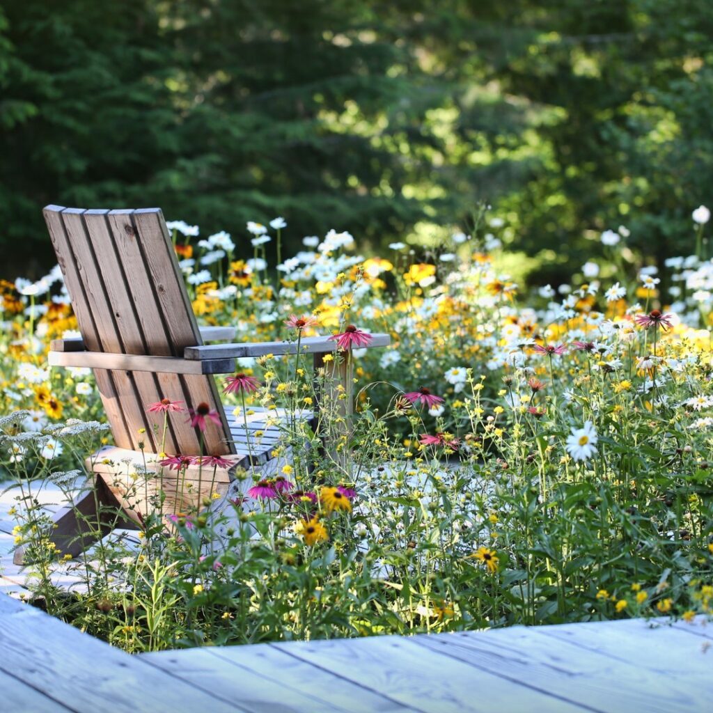 Modern Meadow Rows
