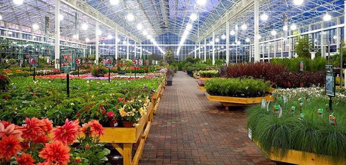 Spring is here and it’s time to ‘Get Gardening’ at Bents Spring is here and it’s time to 'Get Gardening' at Bents