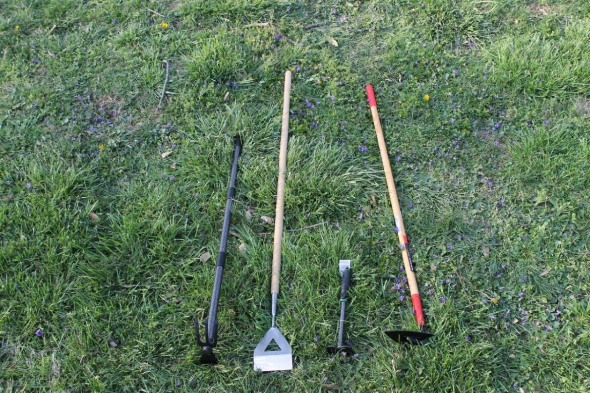 The Best Garden Hoes of 2026 Tested and Reviewed by Experts The Best Garden Hoes of 2026 Tested and Reviewed by Experts