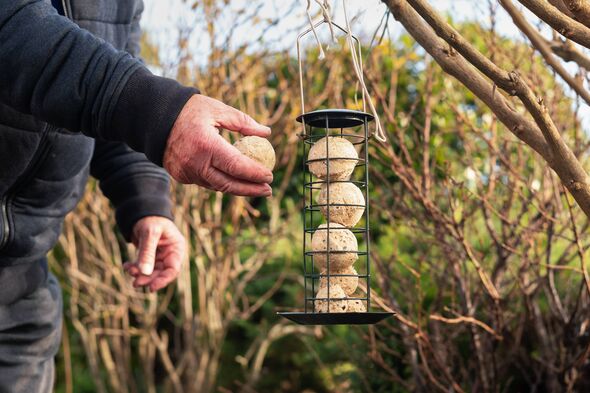 The hand of a senior man holding a suet, fat ball which is food for wild birds. He is next to the handing dispenser he has been The hand of a senior man holding a suet, fat ball which is food for wild birds. He is next to the handing dispenser he has been