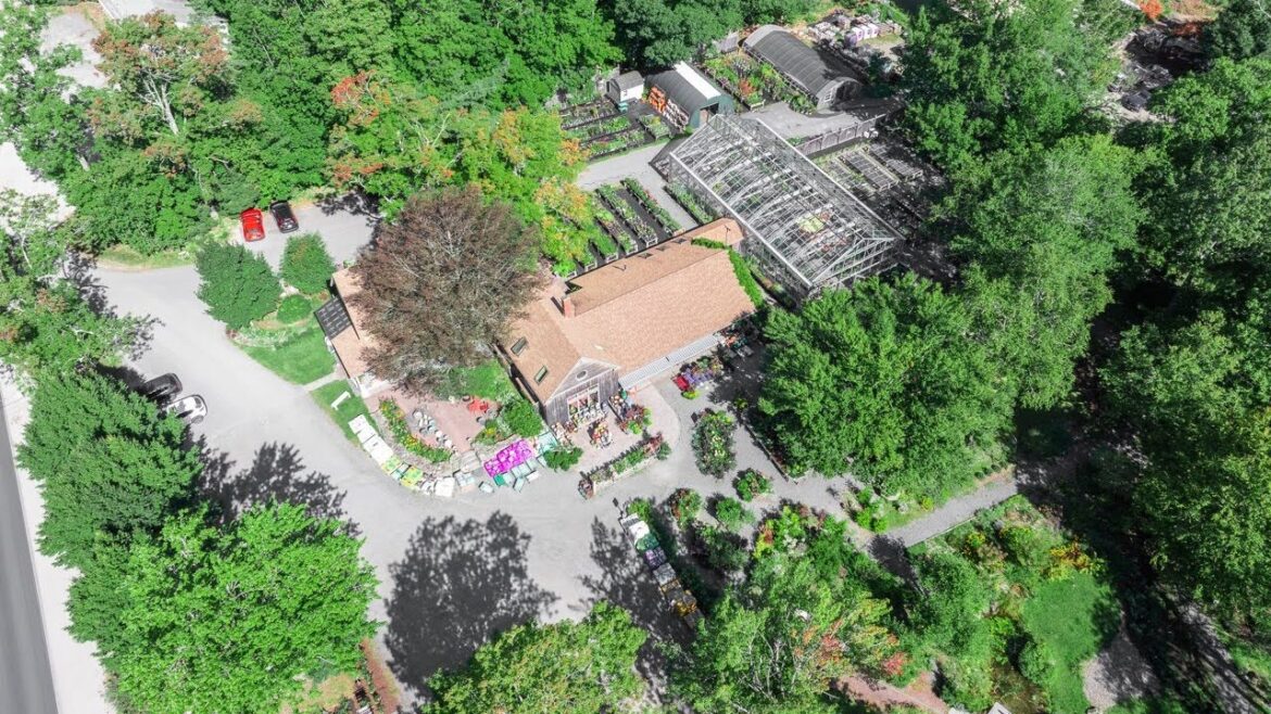 Buyer of Blue Hill garden center will add brewery An aerial view shows buildings amid woods.