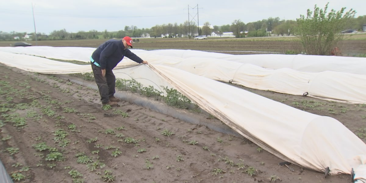Lone Jack man grows Garden of Hope to feed community