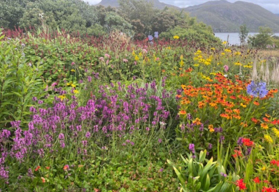 Strathpeffer set for ‘Celebration of Gardening’ as exciting plans revealed