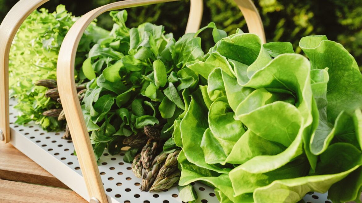 The Best Nitrogen Fertilizer for Vegetables Lettuce, rocket, and other leafy greens lay on a wooden tray