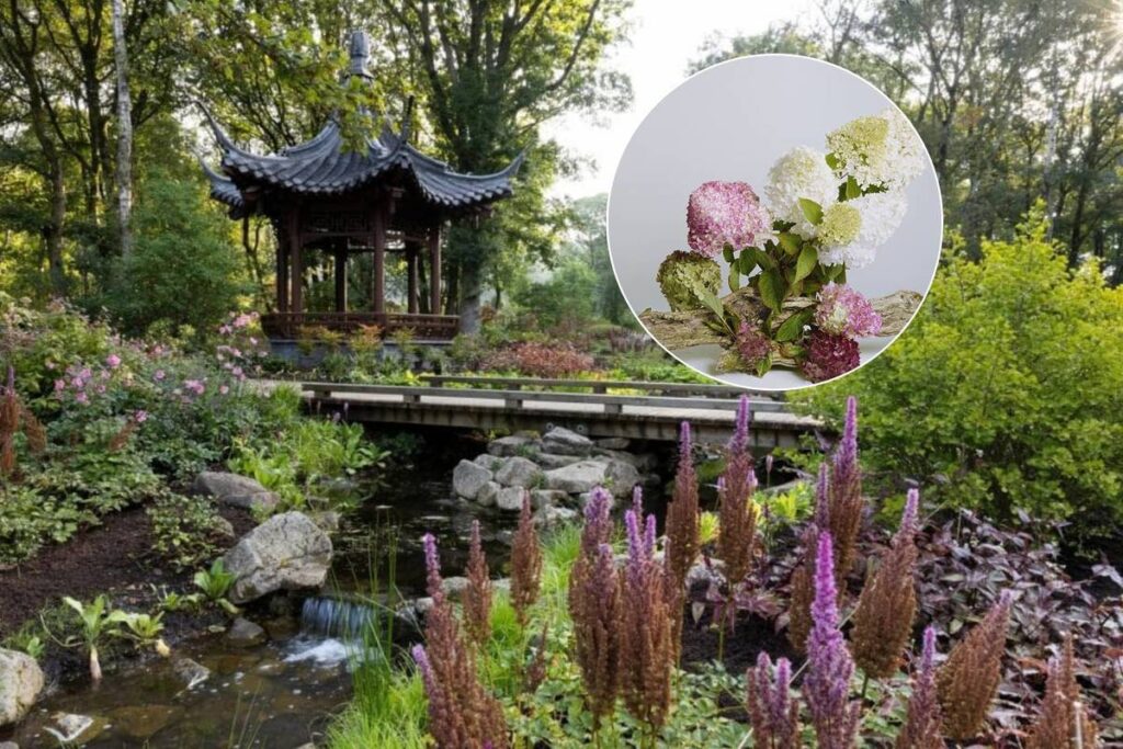 rhs bridgewater garden dr yan wang preston exhibition offshoot