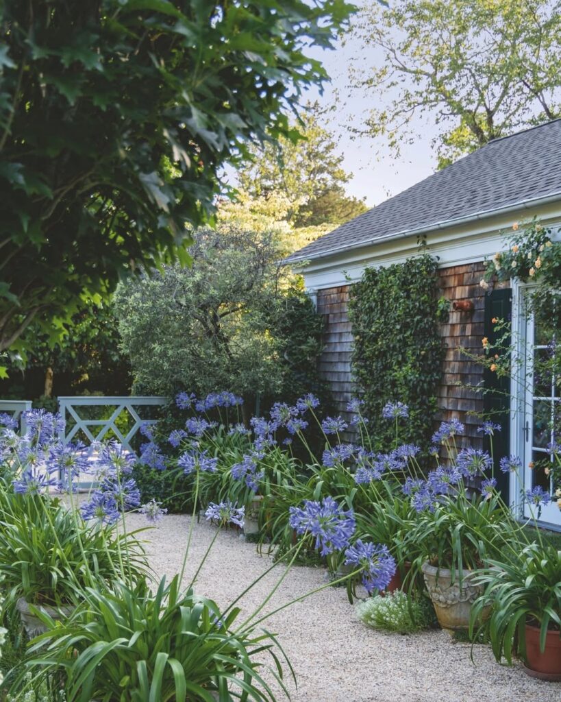 Modern Coastal Garden Terrace with Layered Hardscape
