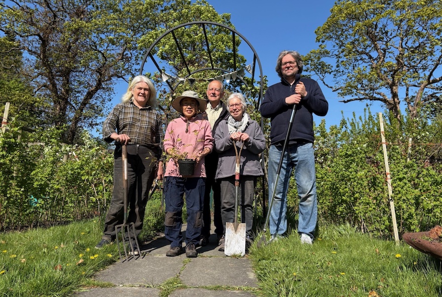 Community allotment: gardening together in Stretford Community allotment: gardening together in Stretford