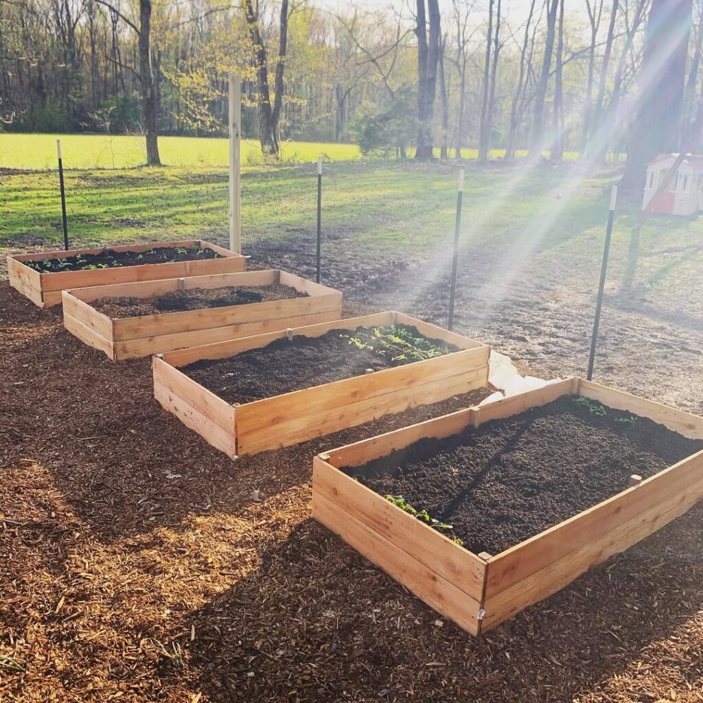 24 Raised Garden Bed Design Ideas For 2026 That Add Massive Value To Your Garden Layout Lived-In Kitchen Garden
