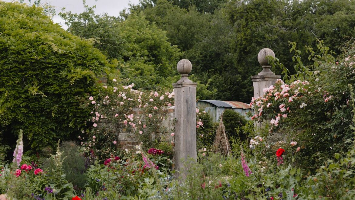 How to plant a cottage garden, according to Isabel and Julian Bannerman How to plant a cottage garden, according to Isabel and Julian Bannerman
