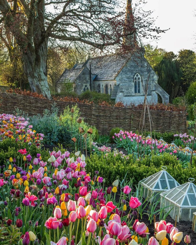 Greenhouse Corner with Layered Tulip Pots