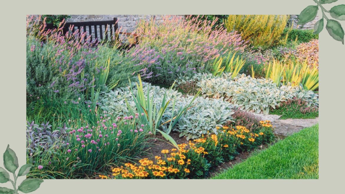 Michael Griffiths’ simple soil hack to pick the right plants established garden borders filled with perennials and bedding plants