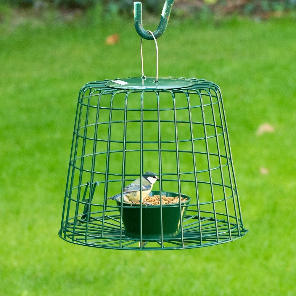 Guardian Caged Mealworm &amp; Suet Pellet Feeder