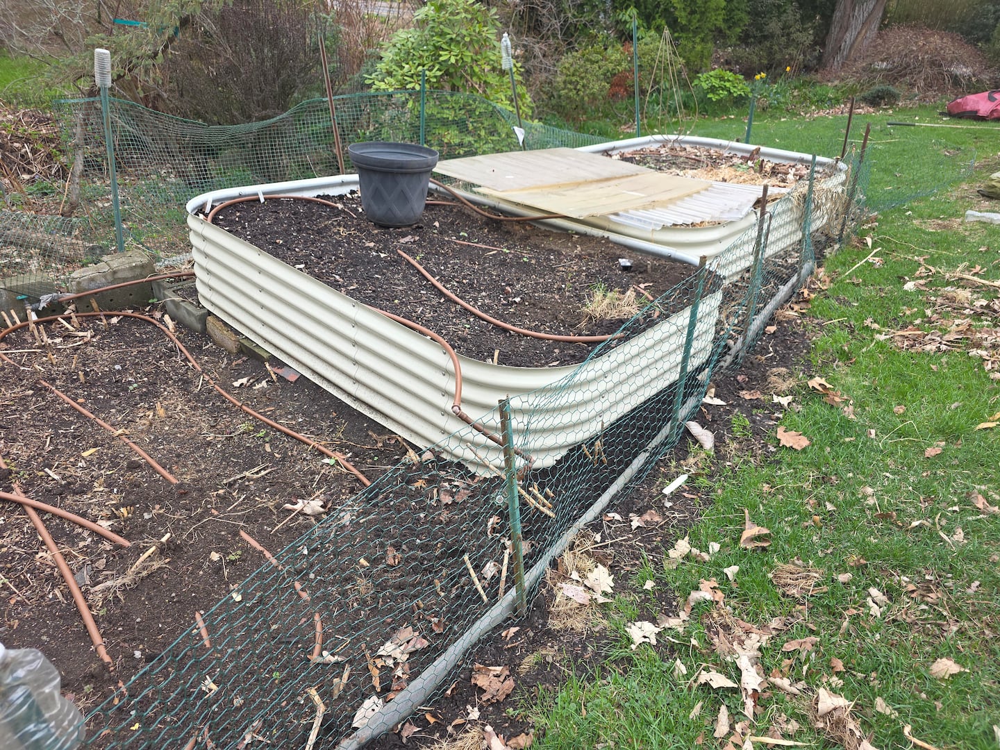 I've put some fencing around my vegetable garden to keep critters out.