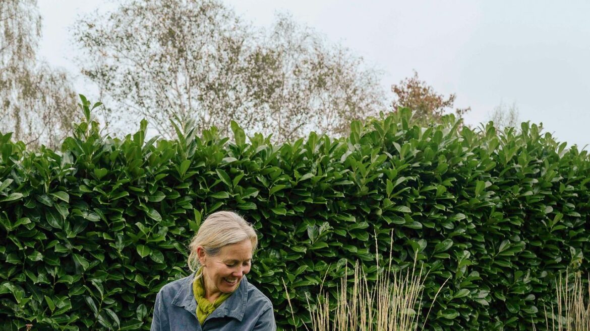 Three editors weigh in on the best gardening shoes Three editors weigh in on the best gardening shoes