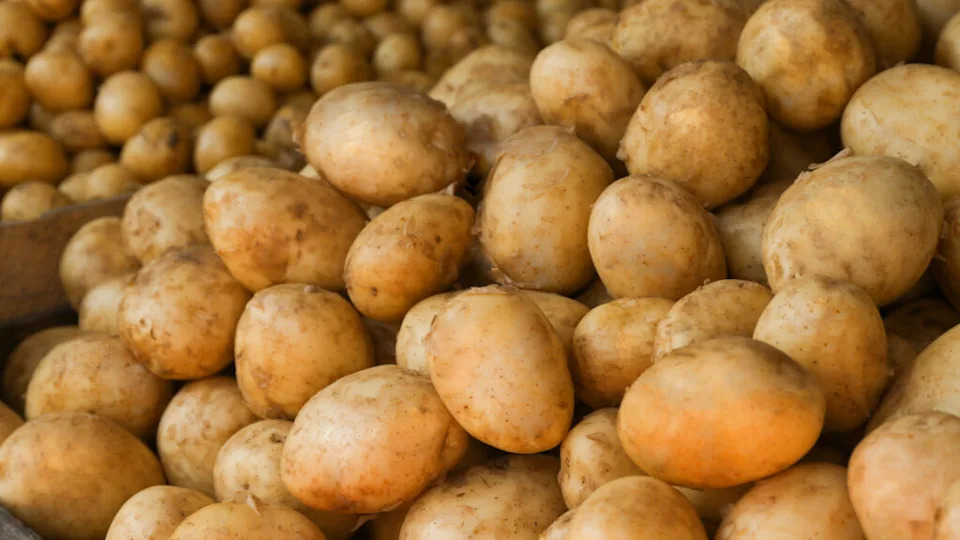 Pile of new potatoes in grocery store, close up