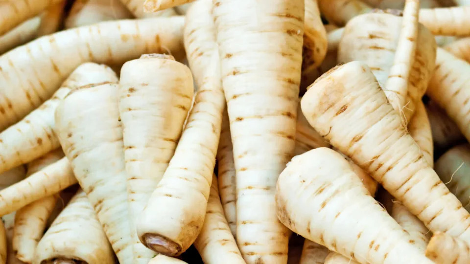 parsnip Root At A Street Sale