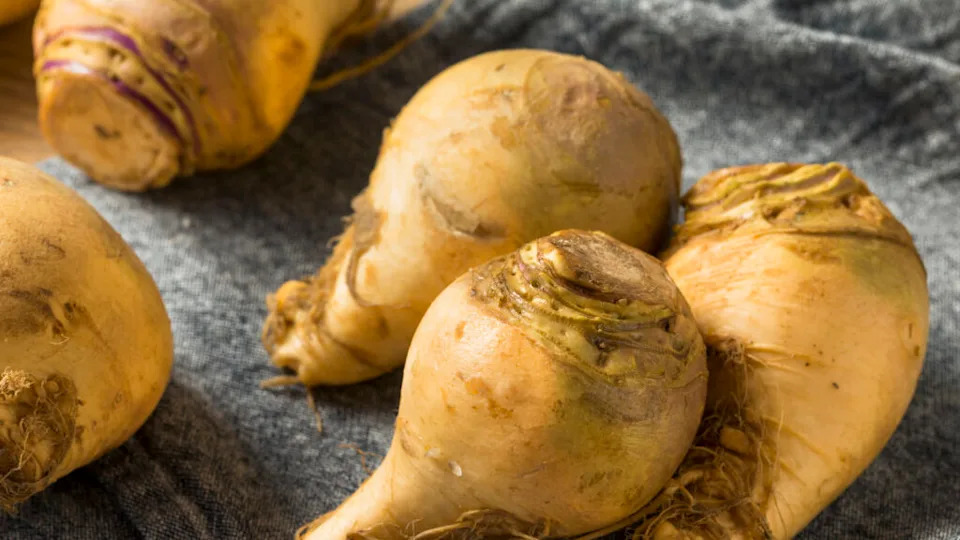 Healthy Raw Organic Brown Rutabaga Root Vegetables
