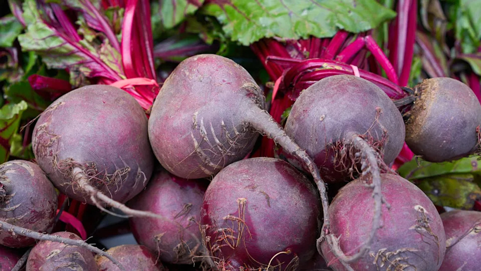 Beets in a row stacked in outdoor market
