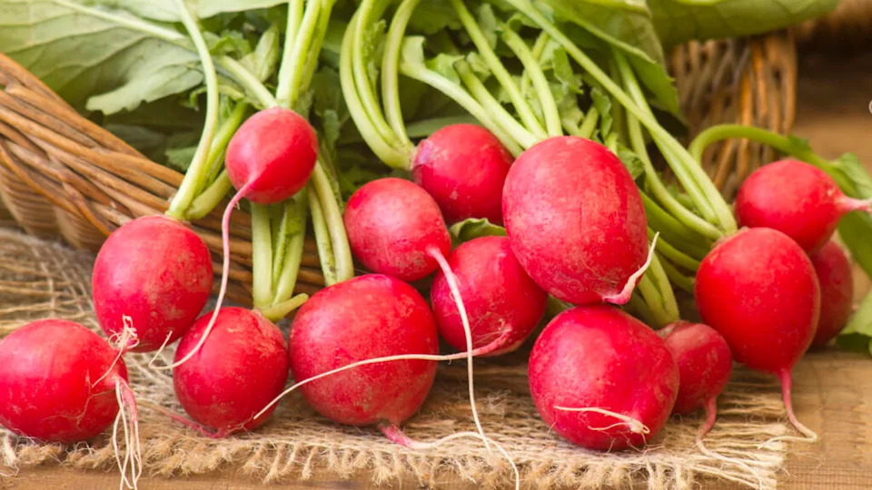 Fresh radishes on old wooden table