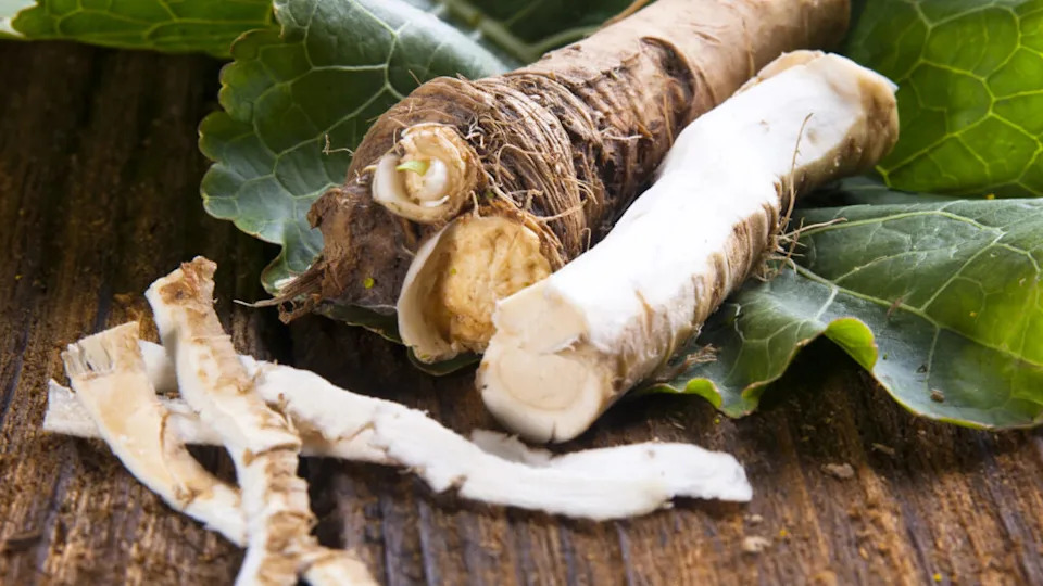 horseradish
