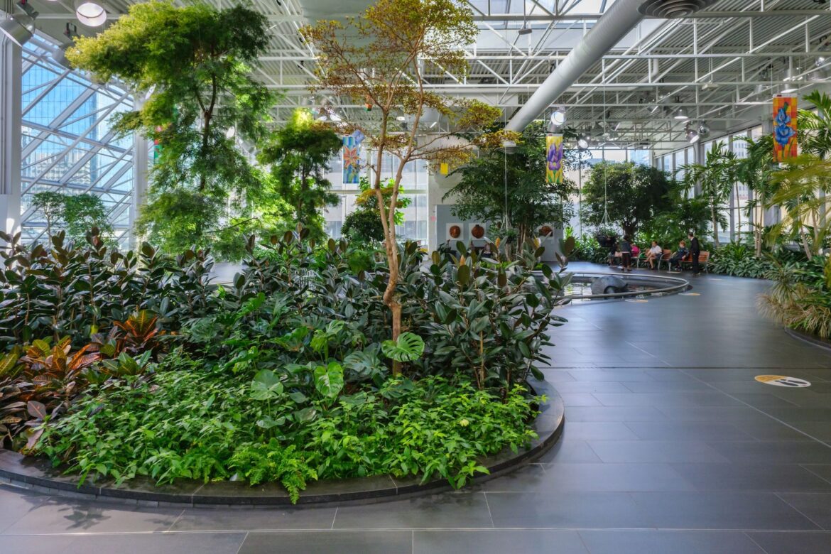 Best botanical gardens to visit in Calgary this spring Best botanical gardens to visit in Calgary this spring