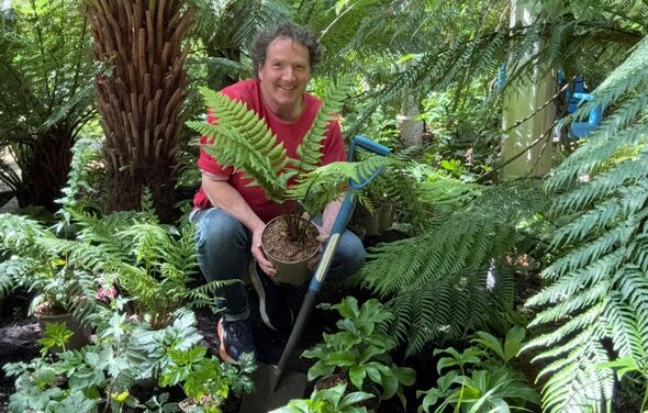 Diarmuid Gavin Sunday Gardening. Diarmuid Gavin Sunday Gardening.