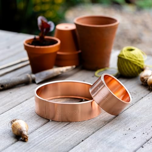 Slug Rings&trade; Copper Slug and Snail Repellent Rings Starter Mixed Size Pack - 3 X 10cm and 3 X 17cm
