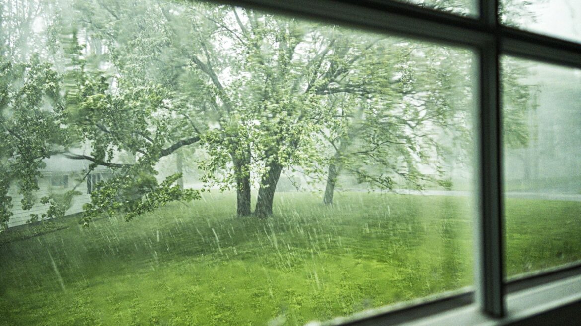 Thunderstorm Pollen Spikes – Why Rain Can Make Pollen Worse Looking out at a storm whipping up flowering trees from inside a home