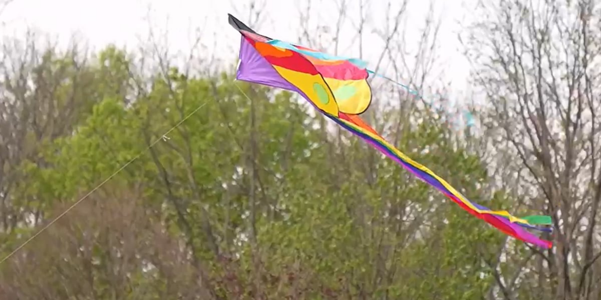 Cherry Blossom Kite & Piñata Festival blends cultures at Springfield Botanical Gardens Cherry Blossom Kite & Piñata Festival blends cultures at Springfield Botanical Gardens