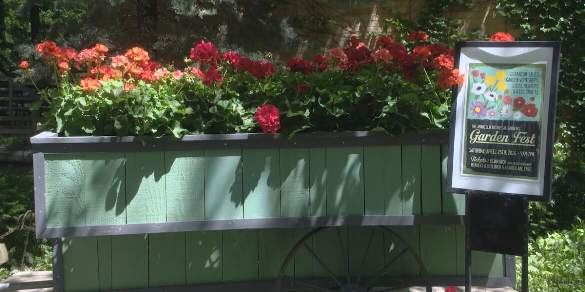 Amarillo Botanical Gardens set to host Garden Fest this Saturday Amarillo Botanical Gardens set to host Garden Fest this Saturday