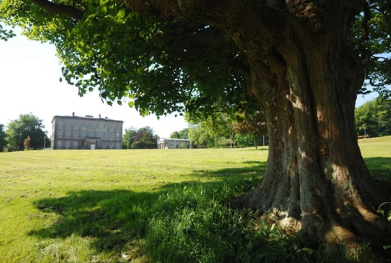 The garden is located within the grounds of Archbishop's Palace in Armagh PICTURE: DISCOVER NI