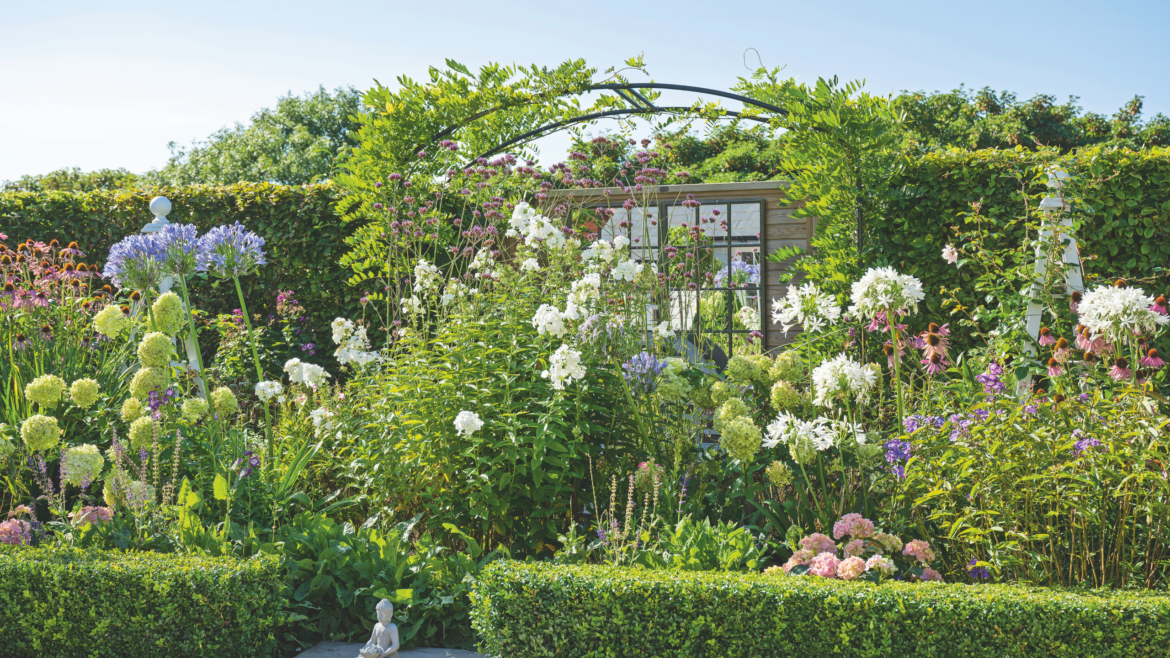 Gardeners urged to carry out test before removing ‘dead’ plants