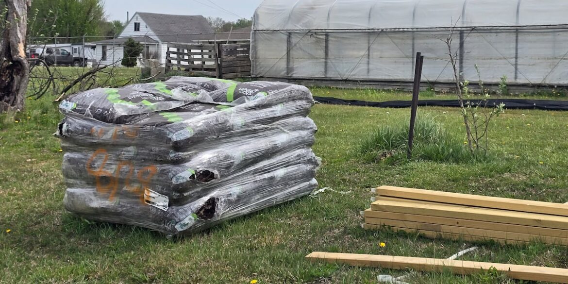 Hope Grows community garden opens raised-bed rentals, seeds available at Thrive pantry