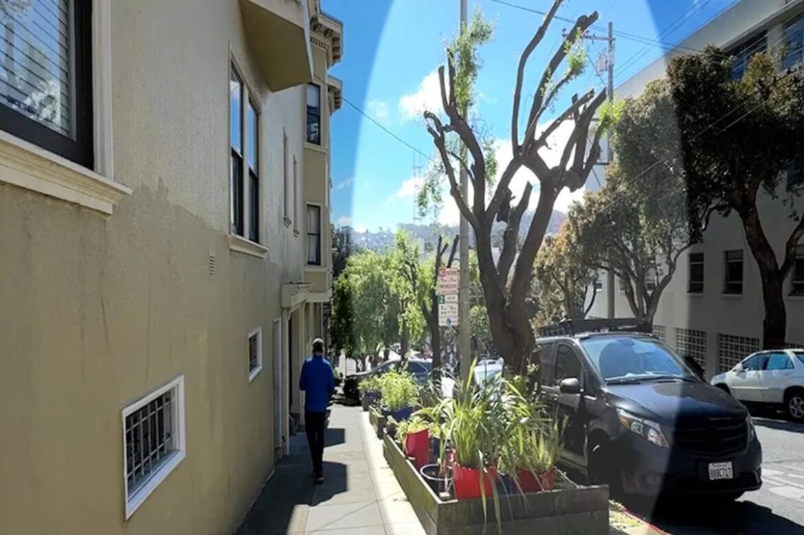 SF hits longtime homeowner with insane $50K fine for trimming overgrown trees touching power lines