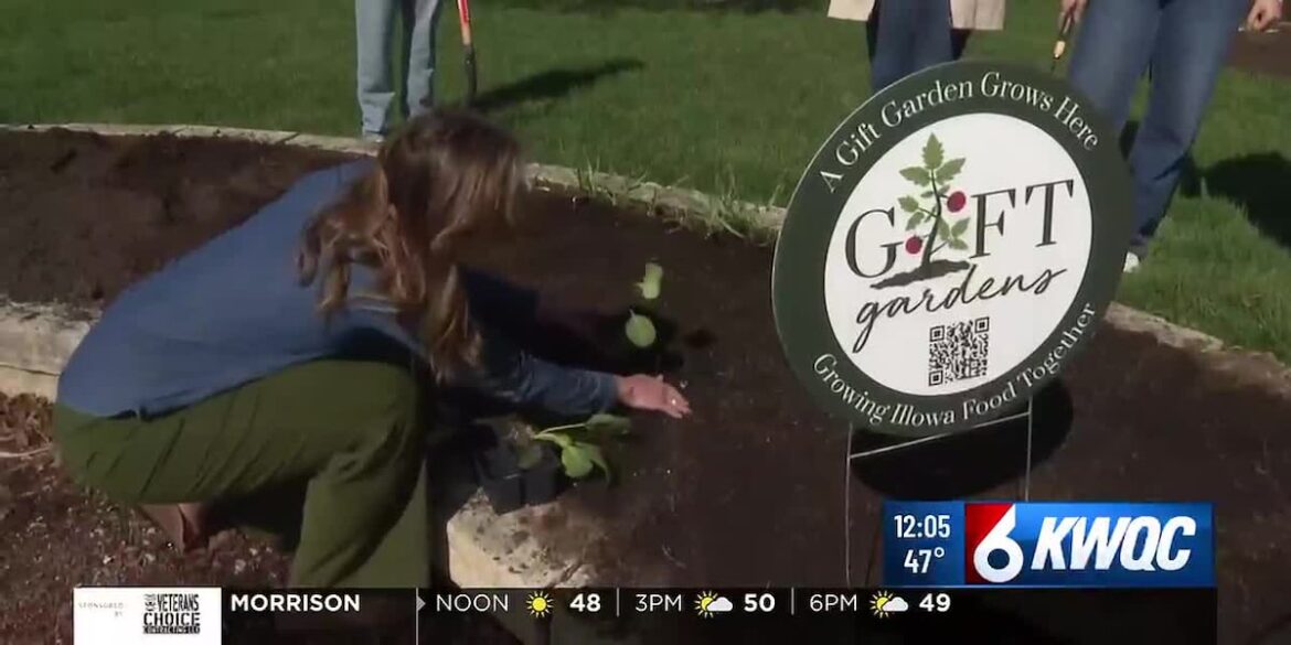 Gift Gardens program returns to help local food pantries