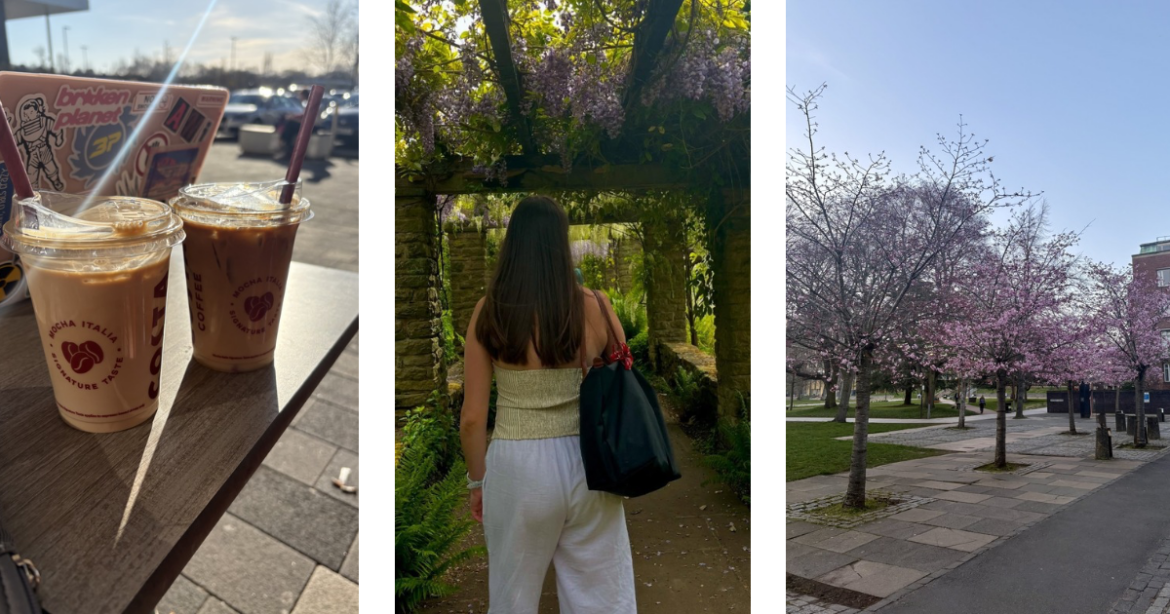 How to transition into spring as a Birmingham Uni student How to transition into spring as a Birmingham Uni student